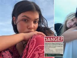 Hit-and-run' driver 'who killed man as he walked his dog near village  church' appears in court