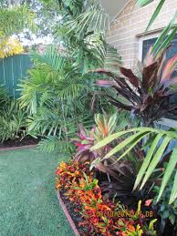 Another Brisbane Garden Discussing Palm Trees Worldwide Tropical Backyard Landscaping Tropical Landscaping Tropical Backyard