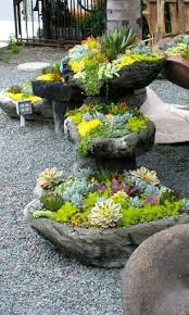 Crassula is perfect for rock gardens, coastal gardens or containers. Beautiful Succulent Rock Garden Incredible Recipes Facebook