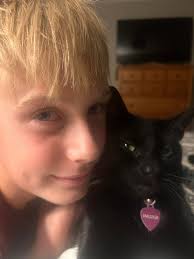 Lost cat near Marlin Hills and Northcliff