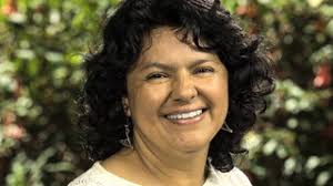 Shows featuring Annie Bird