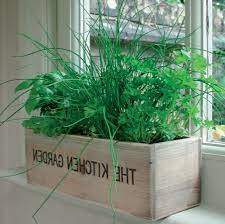 26 Luxury Indoor Herb Garden Kit Canadian Tire Indoor Herb Garden Herb Garden Kit Easy Garden
