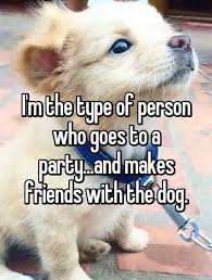 Yup That S Me Dogs Funny Funny Animal Pictures