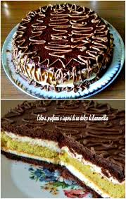 Torta Televisore E Un Dolce Raffinato E Delicato Al Profumo Dei Limoni E Cacao Viene Realizzata Con Due Strati Di Pa Torte Idee Alimentari Cibo Etnico