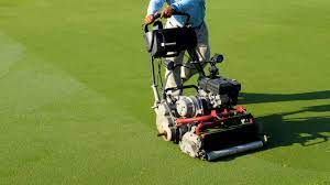 Our professional greens mowers are used on many pga and tpc courses. So You Want To Have A Backyard Putting Green