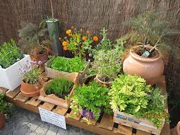 Top 25 Most Common Substitutes When Using Herbs And Spices