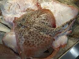 Check spelling or type a new query. La Razza Alla Palermitana Ricette Di Pesce Marblu Prato