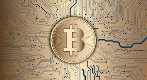 Best bitcoin hosting services or anonymous hosting services are on the rise for one very simple yet inevitable reason, the world is becoming more liberal and diverse, and so is the internet! The Best Bitcoin Friendly Web Hosting