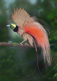 25 Incredibly Beautiful Birds Beautiful Birds Nature Birds Birds Of Paradise