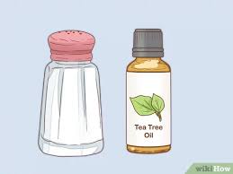 15 severe fin rot treatment (body rot). How To Treat Fin Rot 10 Steps With Pictures Wikihow