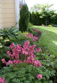 Posts About Spring On Reclaiming Nature Shade Garden Design Shade Garden Garden Design