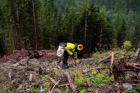 Taylor starling onlyfans leaks The two women met at the