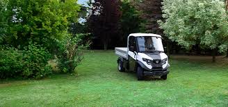 Michigan's springs are long with cool mornings, hot days and plenty of daylight. Golf Vehicles Alke