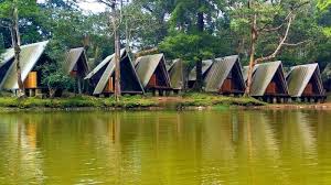 Maka para penduduk di negeri itu pergi ke istana. Asal Mula Telaga Warna Beserta Ulasannya 2021 Poskata