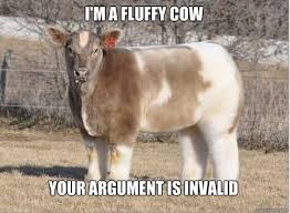 20 Fantastically Funny Cow Memes To Put You In A Happy Moo D Fluffy Cows Fluffy Animals Animals