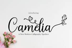 Camelia 235609 Calligraphy Font Bundles