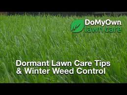 For cool season grasses, it is best to cut at 3 ½ inches. What About My Lawn During The Winter Winter Weed Control Lawn Care Tips Video Domyown Com