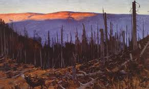 Scorched Forest In The Tatra Mountains Landscape Landscape Photos Art Academy