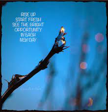 Bluehost Com New Day Quotes New Day Go For It Quotes