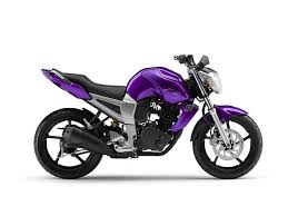 Fz16 Despues Fz Bike Yamaha Fz Yamaha Fz Bike