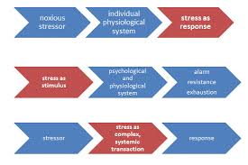 12 3 Stress And Coping Introduction To Psychology