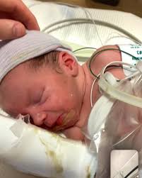 𝚁𝚊𝚢𝚗𝚎 𝚂𝚝𝚘𝚐𝚜𝚍𝚒𝚕𝚕♡︎ (@raynestogsdill) • Instagram photos and  videos