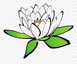 Umi fitri espansa 03 november 2020. Lotus Flower Vector Gambar Bunga Teratai Animasi Clipart 12618 Pinclipart