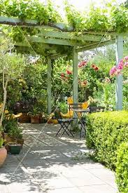 Bewachsene Pergola Auf Terrasse Mit Sitzplatz Vor Bluhenden Rosenbuschen Pergola Terrasse Sitzplatz