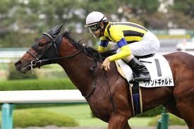 7:42 霞 券五郎ちゃんねる 27 792 просмотра. ãƒžã‚¤ãƒ©ãƒ¼ã‚ºã‚«ãƒƒãƒ—2020ã®ç«¶é¦¬äºˆæƒ³åˆ†æž 3ã¤ã®ãƒ‡ãƒ¼ã‚¿ã‹ã‚‰å°Žãå±é™ºãªäººæ°—é¦¬