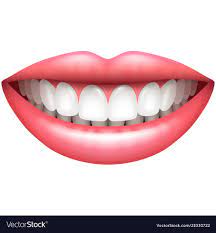pin on clipart