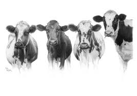 We did not find results for: Cow Pencil Drawing Cow Art Print Holstein Cow Pencil Etsy