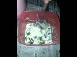 Kehangatan keluarga berawal dari dapur. How To Make Tempe Goreng Tepung Cara Membuat Tempe Goreng Tepung Gandum Youtube