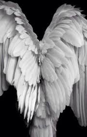 The Dream Catcher Cleaner Chapter One Wings Angel Art Angel