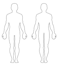 It will be a perfect opportunity to showcase their talents. The Extraordinary Free Human Body Outline Printable Download Free Clip Art Throughout Blank Body Map Template Picture Be Body Outline Body Map Free Human Body