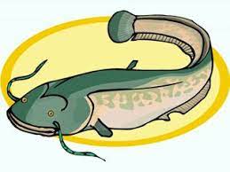 27 Gambar Kartun Ikan Di Kolam Ikan Gif Gambar Animasi Animasi Bergerak 100 Gratis Download 15 Desain Kolam Ikan Koi Minimalis Di Dal Ikan Gambar Clip Art