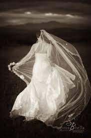 Greenville Sc Weddings Drop Waist Wedding Gown Cathedral Veil With Lace Trim And Details Mounta Bella Photography Bridal Portraits Wedding Ceremony Pictures