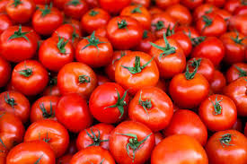 What's the french word for tomato in french? 8 Words From Nahuatl The Language Of The Aztecs Merriam Webster