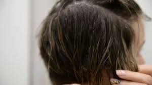 Just before you blow dry your hair, squeeze a bit of this product on your palm and rub in on your strands from the root to tip. How To Blow Dry Hair With Pictures Wikihow