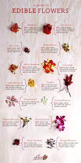 Maybe you would like to learn more about one of these? Garden Planters Uk Edible Flowers Recipes Edible Flowers Flower Food