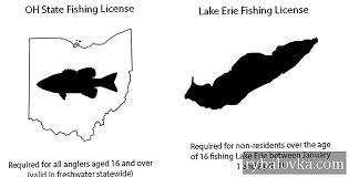 كيفية الحصول على رخصة الصيد الخاصة بك أوهايو: دليل سهل
