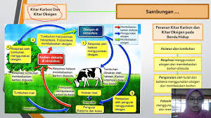 Menentang penjajahan serta pembelaan terhadap bangsa dan negara. Pdpr Sains Tingkatan 2 Bab 2 Youtube