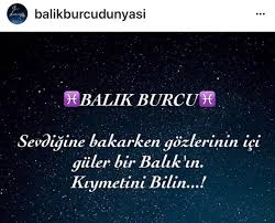 Busra Adli Kullanicinin Balik Burcu Panosundaki Pin Burc Bilgileri Balik Burcu Burclar