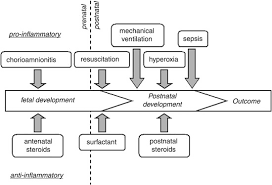 Image result for Chorioamnionitis