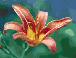 Get unlimited access to hundreds of free patterns. Daylily Free Cross Stitch Pattern Better Cross Stitch Cross Stitch Patterns Free Free Cross Stitch Cross Stitch