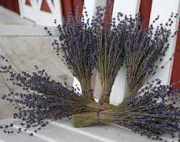 Great savings & free delivery / collection on many items. Wholesale Lavender Etsy