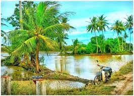 Gratis untuk komersial tidak perlu kredit bebas hak cipta. Perlisaktif Cantik Sungguh Pemandangan Kampung Tenang Facebook