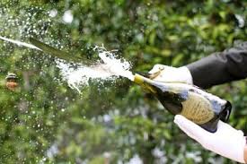 Sciabole champagne sommelier per aprire lo champagne o lo spumante. Sabrage L Arte Di Stappare Lo Champagne Con La Sciabola