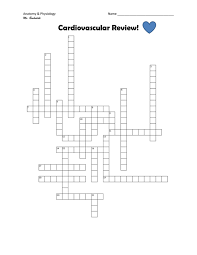 Image result for Cardiovascular Worksheets