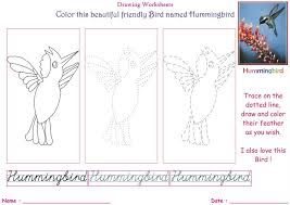 The mass of the tiny beauty is from 2 to 18 g. Birds Coloring Pages For Kids Hummingbird