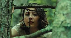 Glimmerglass Film Days program 2024 by Otsego2000